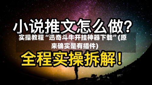 实操教程“迅奇斗牛开挂神器下载”(原来确实是有插件)-第2张图片