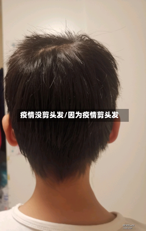 疫情没剪头发/因为疫情剪头发