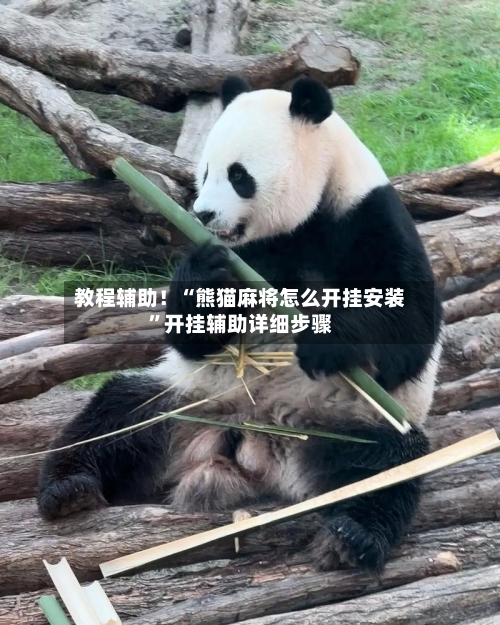 教程辅助！“熊猫麻将怎么开挂安装	”开挂辅助详细步骤-第2张图片