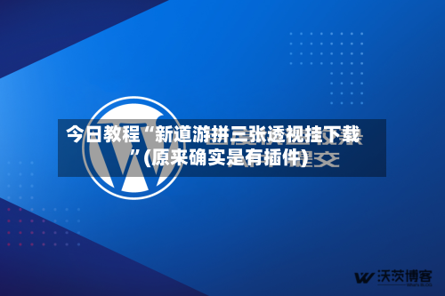 今日教程“新道游拼三张透视挂下载”(原来确实是有插件)-第2张图片