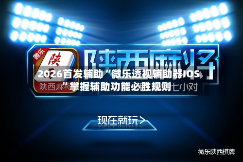 2026首发辅助“微乐透视辅助器IOS”掌握辅助功能必胜规则-第2张图片