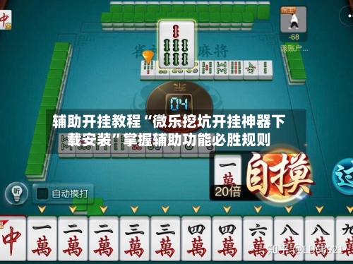 辅助开挂教程“微乐挖坑开挂神器下载安装”掌握辅助功能必胜规则-第2张图片