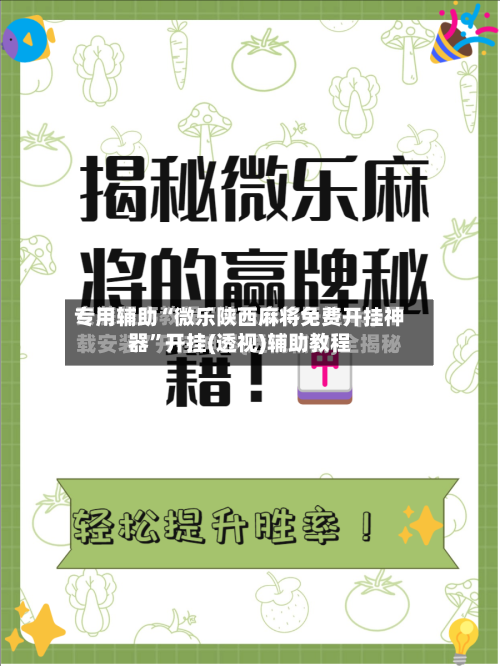 专用辅助“微乐陕西麻将免费开挂神器	”开挂(透视)辅助教程-第3张图片