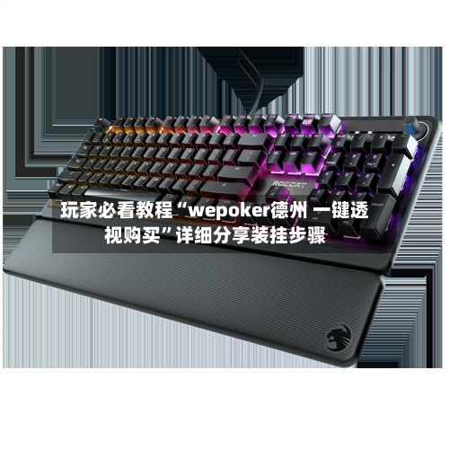 玩家必看教程“wepoker德州 一键透视购买”详细分享装挂步骤-第3张图片