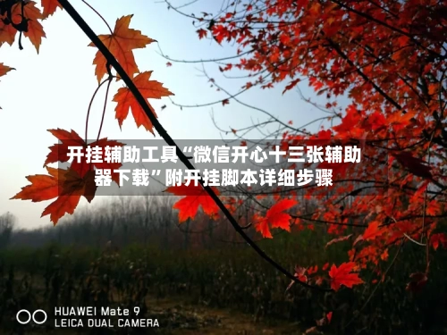 开挂辅助工具“微信开心十三张辅助器下载	”附开挂脚本详细步骤-第2张图片