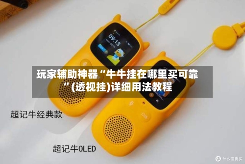 玩家辅助神器“牛牛挂在哪里买可靠”(透视挂)详细用法教程-第2张图片