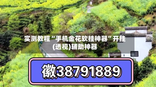 实测教程“手机金花软挂神器”开挂(透视)辅助神器-第3张图片