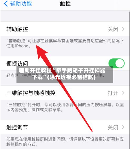 辅助开挂教程“牵手跑胡子开挂神器下载”(曝光透视必备猫腻)