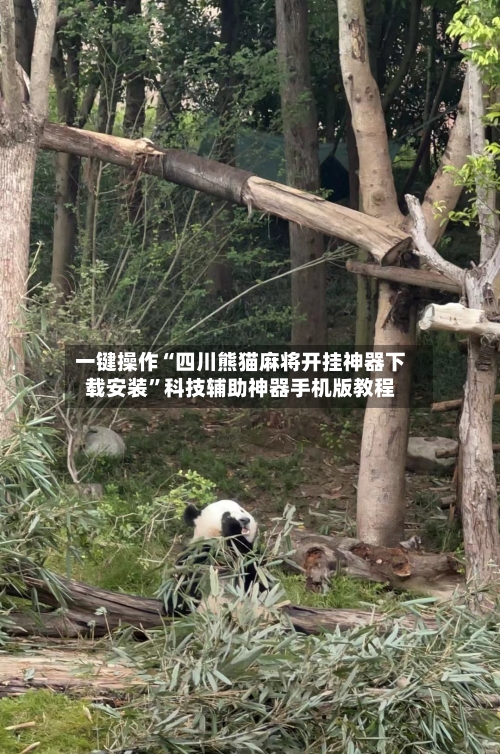 一键操作“四川熊猫麻将开挂神器下载安装”科技辅助神器手机版教程-第2张图片