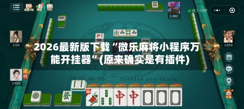 2026最新版下载“微乐麻将小程序万能开挂器”(原来确实是有插件)-第2张图片