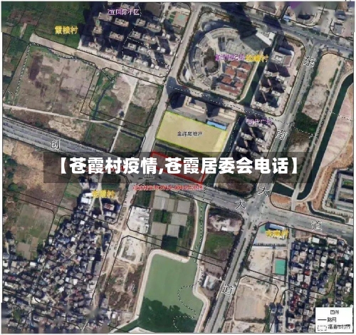 【苍霞村疫情,苍霞居委会电话】