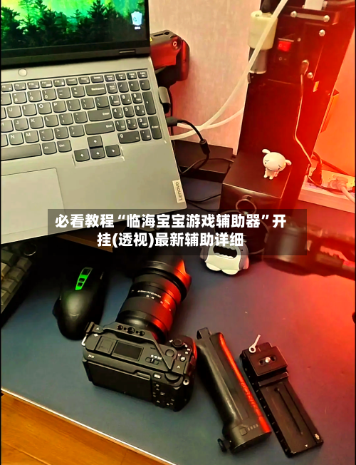 必看教程“临海宝宝游戏辅助器”开挂(透视)最新辅助详细