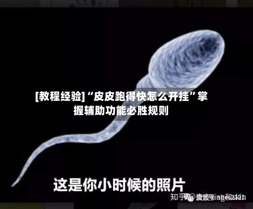 [教程经验]“皮皮跑得快怎么开挂	”掌握辅助功能必胜规则-第2张图片