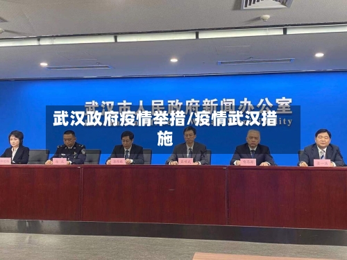 武汉政府疫情举措/疫情武汉措施-第3张图片