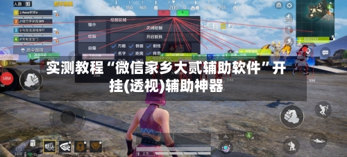 实测教程“微信家乡大贰辅助软件”开挂(透视)辅助神器-第3张图片