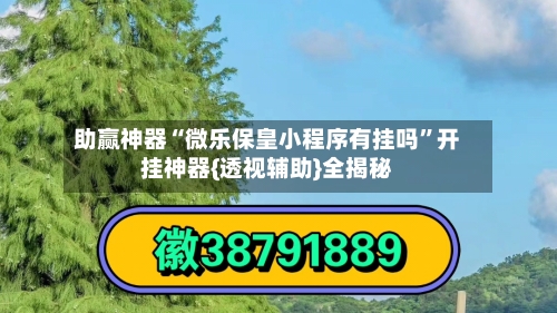 助赢神器“微乐保皇小程序有挂吗”开挂神器{透视辅助}全揭秘-第2张图片