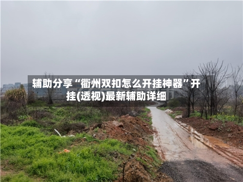 辅助分享“衢州双扣怎么开挂神器	”开挂(透视)最新辅助详细-第3张图片