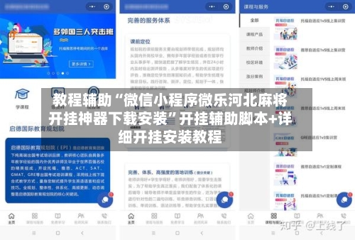 教程辅助“微信小程序微乐河北麻将开挂神器下载安装”开挂辅助脚本+详细开挂安装教程-第3张图片