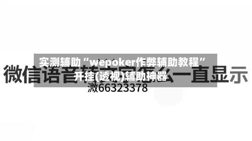实测辅助“wepoker作弊辅助教程”开挂(透视)辅助神器-第2张图片