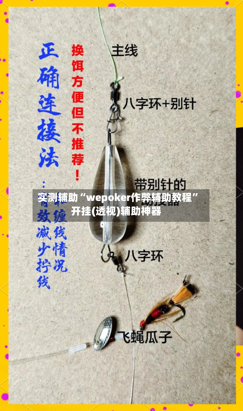 实测辅助“wepoker作弊辅助教程”开挂(透视)辅助神器-第3张图片