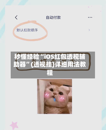 秒懂经验“iOS红包透视辅助器”(透视挂)详细用法教程-第3张图片