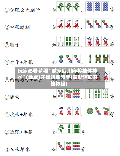 玩家必看教程“微乐四川麻将挂件神器”(免费)开挂辅助教学(最新辅助开挂教程)-第2张图片
