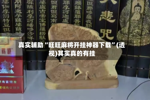 真实辅助“旺旺麻将开挂神器下载”(透视)其实真的有挂