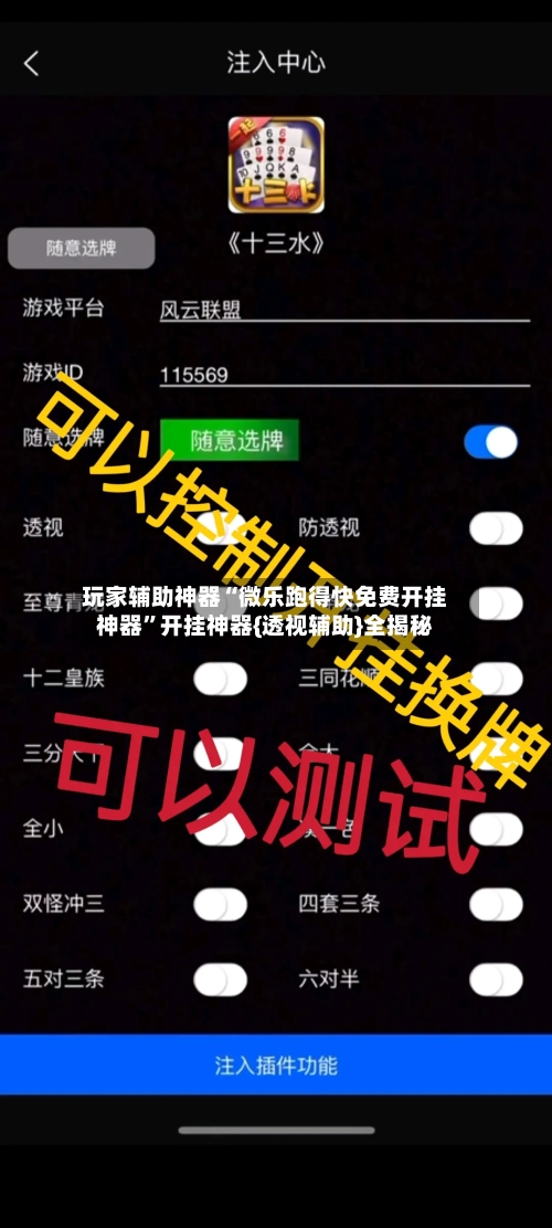 玩家辅助神器“微乐跑得快免费开挂神器”开挂神器{透视辅助}全揭秘-第2张图片