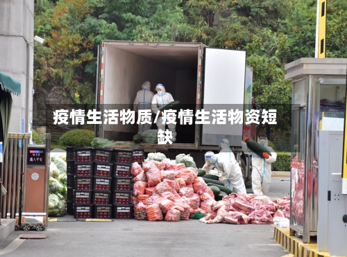 疫情生活物质/疫情生活物资短缺