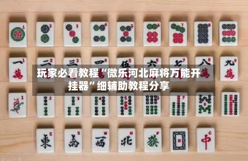 玩家必看教程“微乐河北麻将万能开挂器	”细辅助教程分享-第2张图片