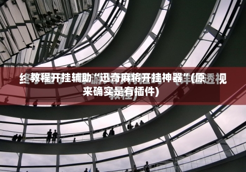 教程开挂辅助“迅奇麻将开挂神器”(原来确实是有插件)-第3张图片