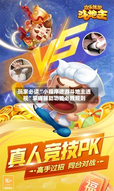 玩家必读“小程序途游斗地主透视”掌握辅助功能必胜规则-第3张图片
