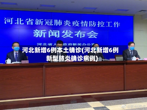 河北新增6例本土确诊(河北新增6例新型肺炎确诊病例)-第2张图片