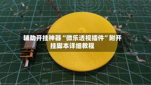 辅助开挂神器“微乐透视插件”附开挂脚本详细教程-第3张图片