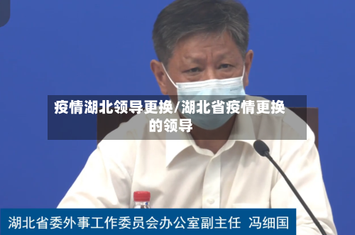 疫情湖北领导更换/湖北省疫情更换的领导