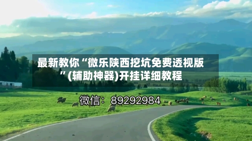 最新教你“微乐陕西挖坑免费透视版	”(辅助神器)开挂详细教程-第2张图片