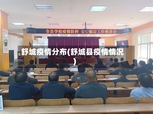 舒城疫情分布(舒城县疫情情况)