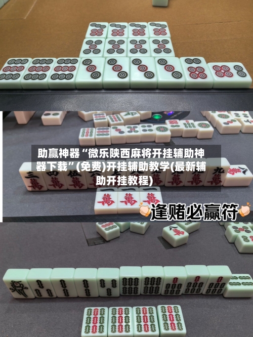 助赢神器“微乐陕西麻将开挂辅助神器下载”(免费)开挂辅助教学(最新辅助开挂教程)-第2张图片