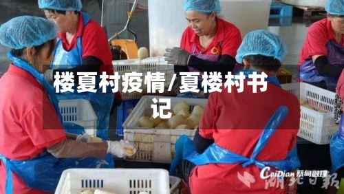 楼夏村疫情/夏楼村书记-第2张图片