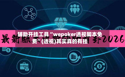 辅助开挂工具“wepoker透视脚本免费”(透视)其实真的有挂