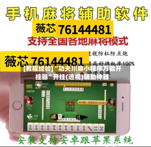 [教程经验]“功夫川麻小程序万能开挂器”开挂(透视)辅助神器