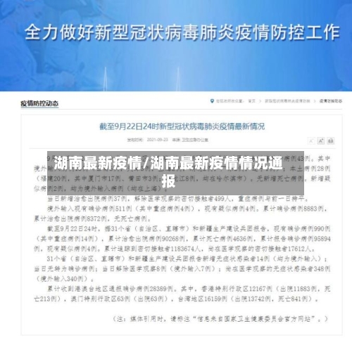 湖南最新疫情/湖南最新疫情情况通报-第2张图片