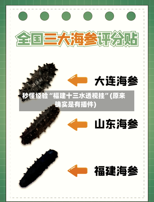 秒懂经验“福建十三水透视挂”(原来确实是有插件)-第3张图片