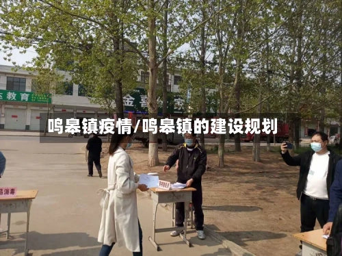 鸣皋镇疫情/鸣皋镇的建设规划