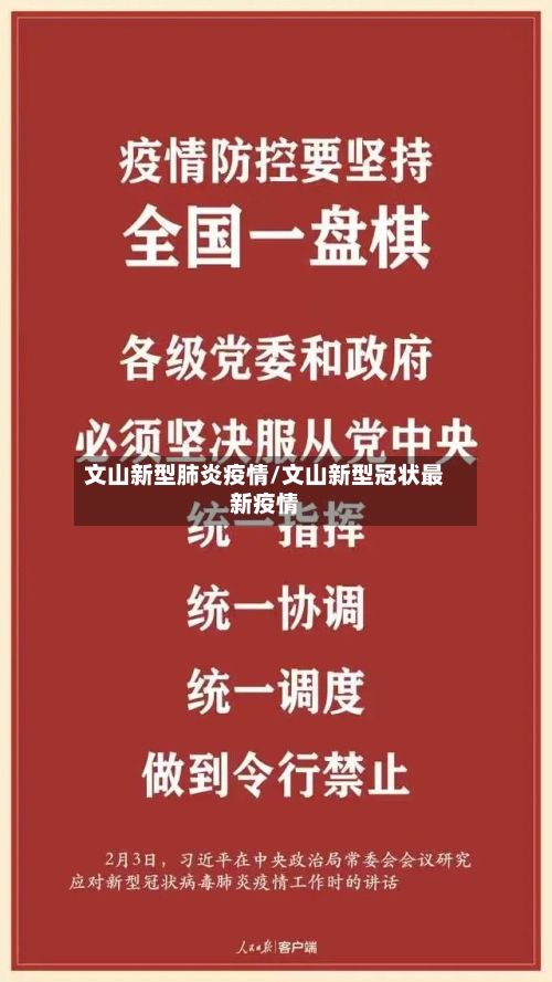 文山新型肺炎疫情/文山新型冠状最新疫情-第2张图片