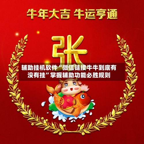辅助挂机软件“微信链接牛牛到底有没有挂	”掌握辅助功能必胜规则-第3张图片