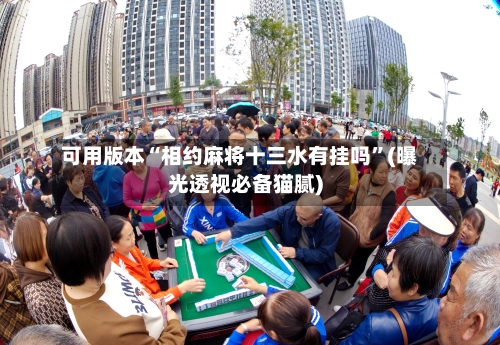 可用版本“相约麻将十三水有挂吗”(曝光透视必备猫腻)-第2张图片