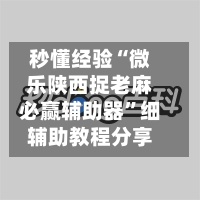 秒懂经验“微乐陕西捉老麻必赢辅助器”细辅助教程分享-第3张图片