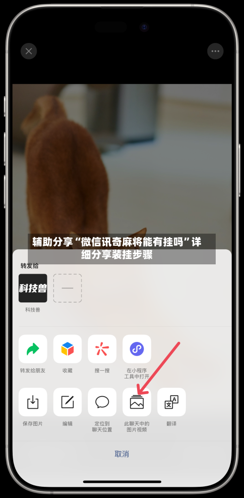 辅助分享“微信讯奇麻将能有挂吗	”详细分享装挂步骤-第2张图片