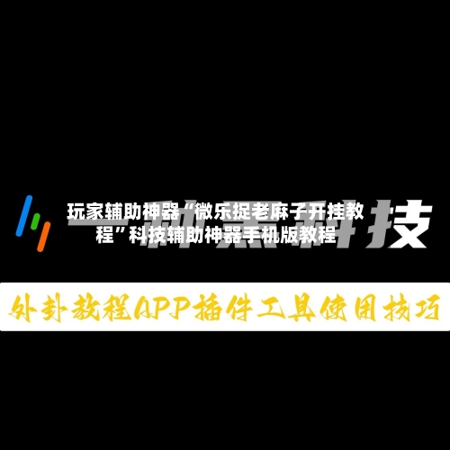 玩家辅助神器“微乐捉老麻子开挂教程”科技辅助神器手机版教程-第2张图片